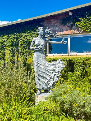 Walker Bay wine estate near Hermanus with beautiful vineyard scenery in the Overberg, South Africa