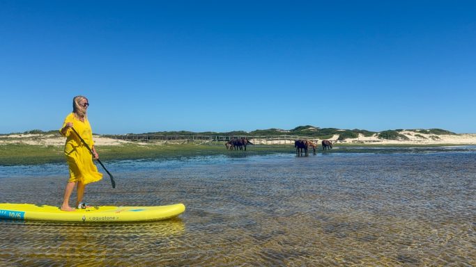 Guest stand-up paddleboarding on calm Kleinrivier Lagoon near MBIZI lagoon house, Hermanus