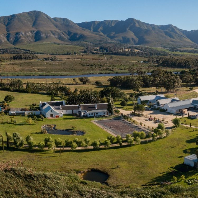 Wine cellar and oak barrels at an Overberg estate near Hermanus — Walker Bay wine region